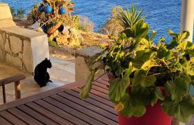 Akrogiali studios - Photo 32