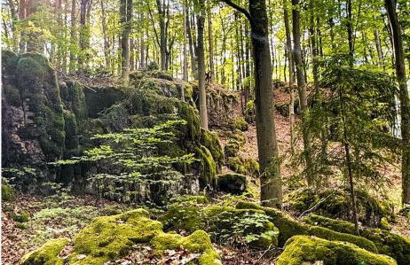 Haus Sommerseit'n Ruhe-Natur-Genuss - Foto 5