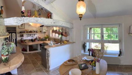 Le tarin des aulnes - Grand gîte Nénuphar - Photo 5