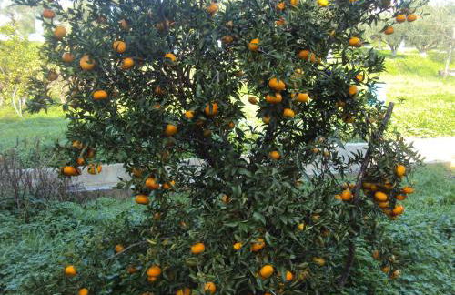 Villa Nostos - Foto 4