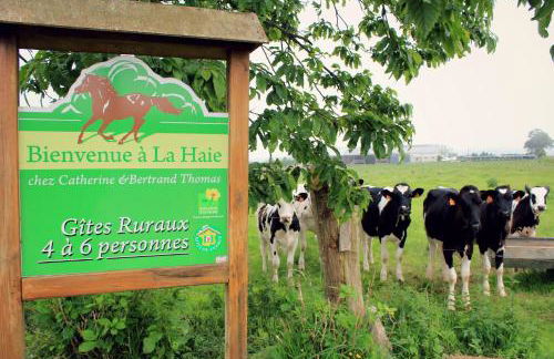 Gites de la Haie - Foto 7