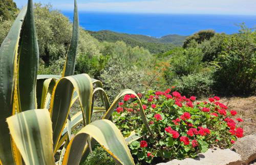 Sari- Vue mer- climatisation - Foto 18