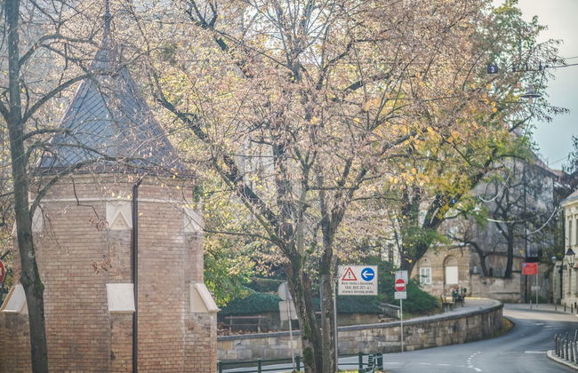 Peacock Boutique Apartments - Foto 66