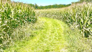 GastRoom Am Seefeld - Foto 3