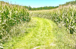 GastRoom Am Seefeld - Foto 3