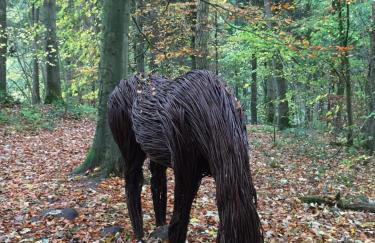 Little Pinfold Cottage - Foto 26