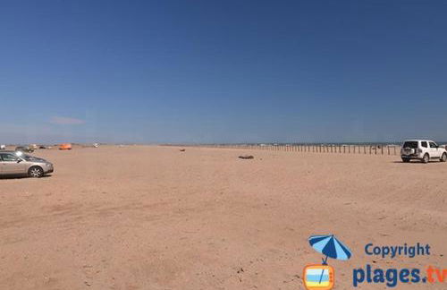 Les Oliviers de Camargue - Foto 22