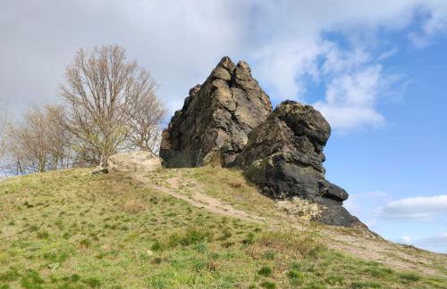 Ferienhaus Blaue Blume mit 11 kW Ladestation, Kamin, Terrasse, eingezäuntem Garten, Sauna, WLAN, Netflix, 2 Hunde willkommen! - Foto 70