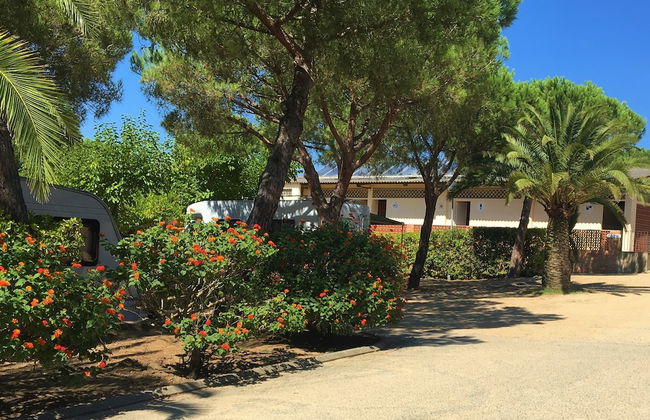 Greenchalets Costa Brava Palamos - Foto 11