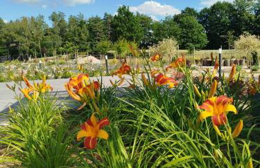 Domek letniskowy - Leśna chmurka - sauna, bania - Foto 11