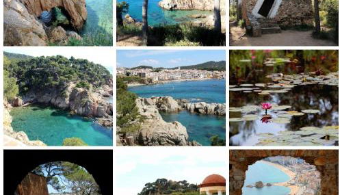 El Piset de Palamós - Foto 2