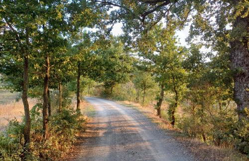 Agriturismo La Bulletta - Foto 72