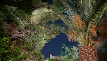 Filippos Agean Nest - Foto 2, Garden