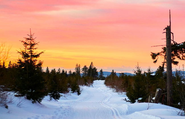 Apartment in Langdorf Near Ski Trails - Foto 33