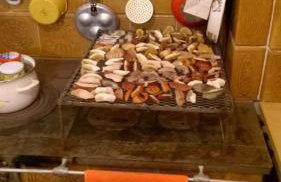 AgroKorytnica - Foto 12