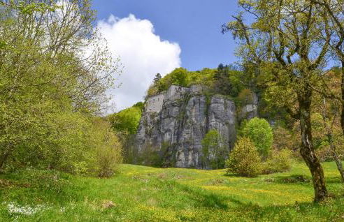 Il Moro-Gemme Del Casentino - Foto 8