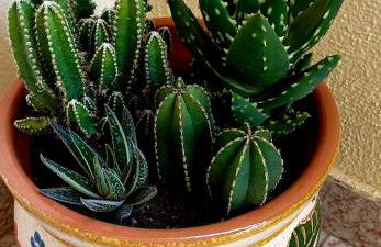 Apartament Casa Milo playa Los Locos - Foto 21