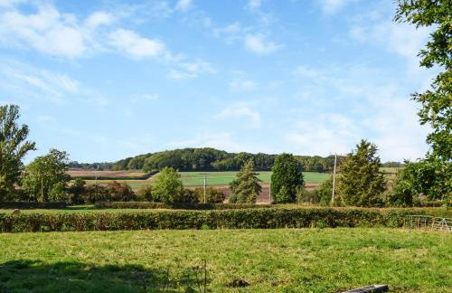 The Old Greenhouse - Uk45328 - Foto 15