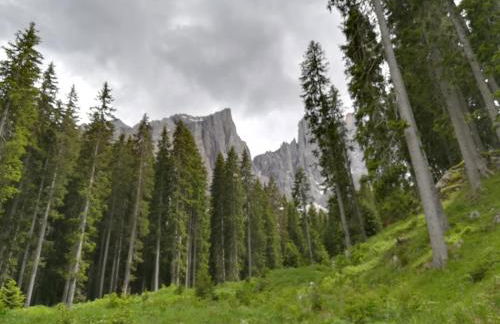 Residence Grand Hotel Carezza - Foto 66