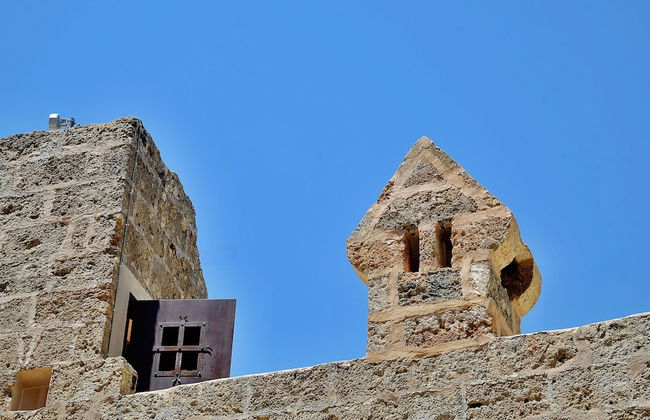 Biomasseria Muto - Foto 47