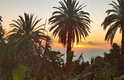 La Finca De Victoria Alojera - Photo 23