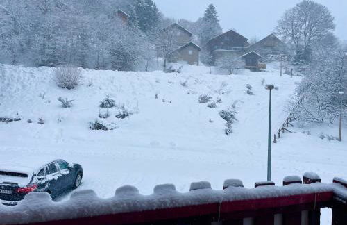 Studio cabine à Bonascre Wi Fi garage privé - Foto 14