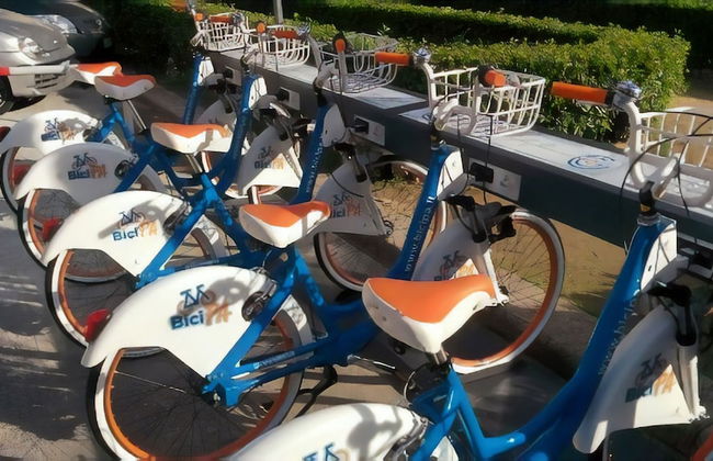 Artisan Maison - Photo 49