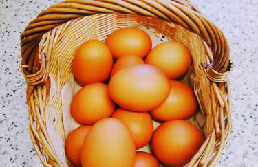 Cal PAU DE LA GRALLA - Foto 36