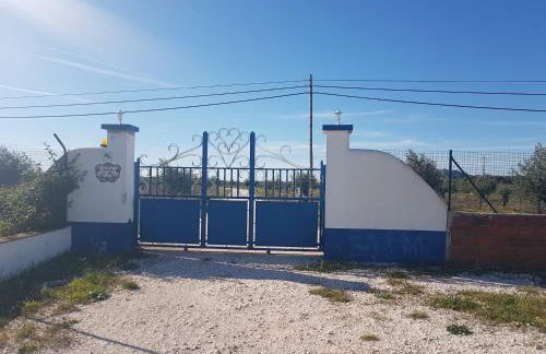 Quinta da Paz - Foto 12