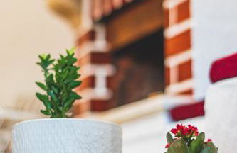 Elias Maro House - Photo 27