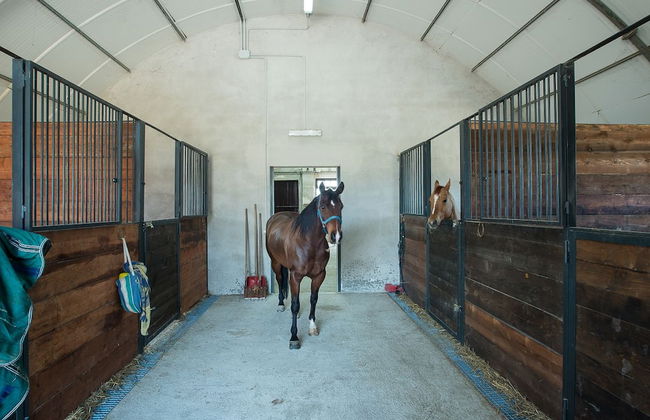 Fattoria Didattica La Collina Incantata - Photo 26