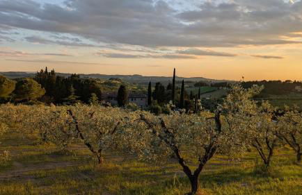 Agriturismo Amici Miei - Foto 33