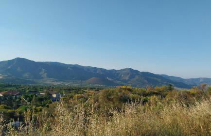 Il Calice dell'Etna - Foto 33
