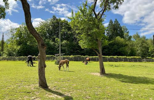 Etzauer Mühle im Taunus - Foto 10
