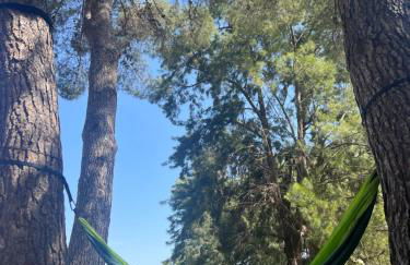 House with swimming pool and amazing sea and mountain views in Montgó, Denia - Photo 52