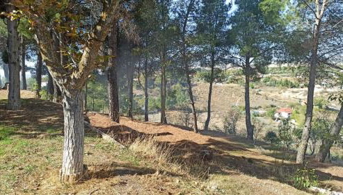 Casa Rural MONTE VERDE - Foto 5