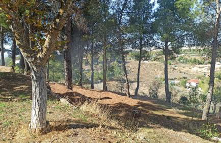 Casa Rural MONTE VERDE - Photo 5