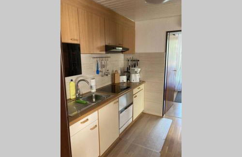 Gemütliche Ferienwohnung in Sankt Blasien - Foto 29