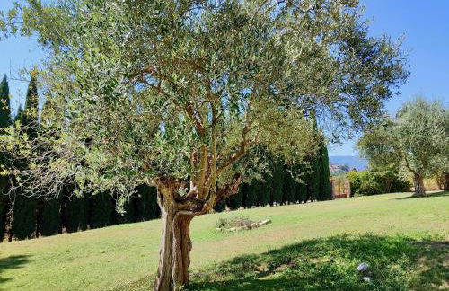 The Monastery - St Antimo - Foto 41