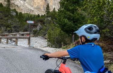 Cesa Bernard - Apartment Cima 12 e new Apartment Fraine - Foto 44