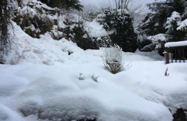 Le Thuria - Photo 30