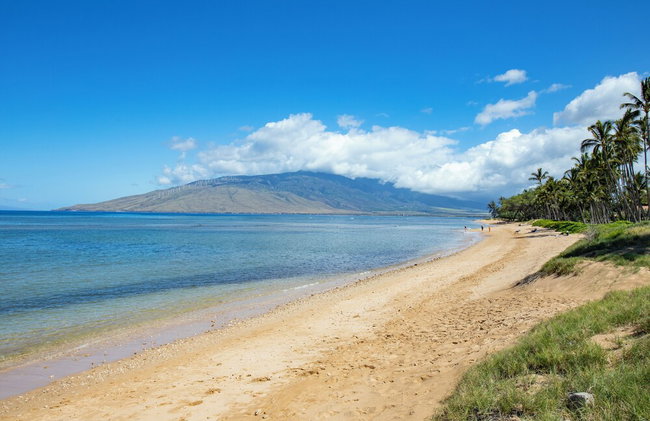Beautiful 1 Bedroom Condo with Ocean Views | Oceanfront - Foto 113