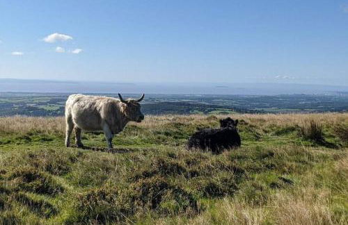 Garden Suburbs Cottage - Foto 20