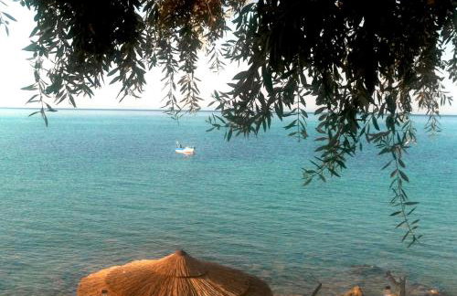 Villa Mara με ιδιωτική παραλία - Foto 32