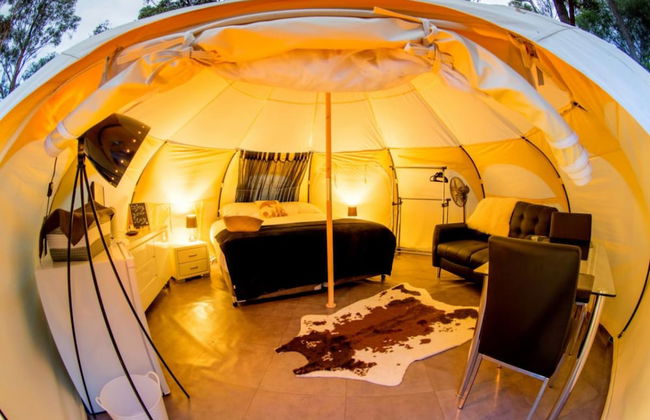 BIG4 Yarra Valley Park Lane Holiday Park - Foto 15