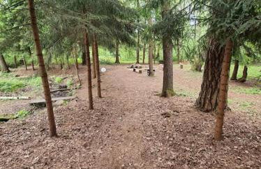 Sosnowy Strumyk - Foto 37