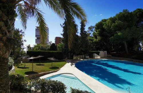 OASIS FRENTE al MAR, ALBUFERA, ALICANTE - Photo 11