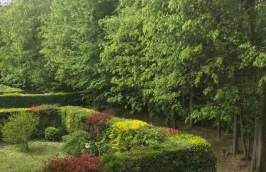 antonellagardalake - Foto 25