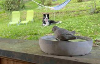 Appartement Le feron - Photo 11