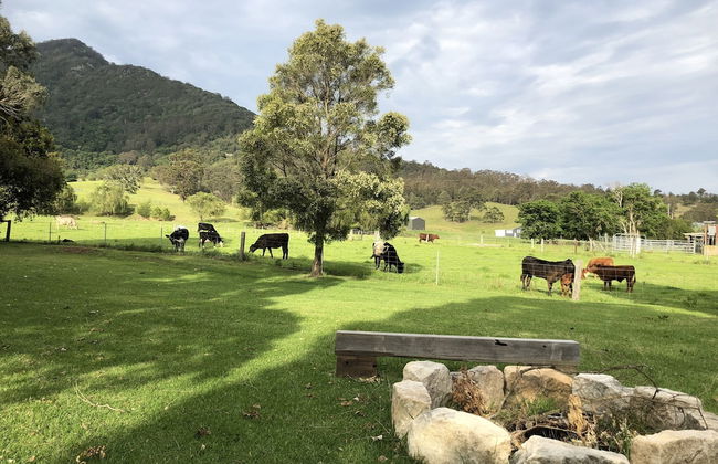 ARCADIA - The Barn Cottage & Rosehill Cottage - Foto 41